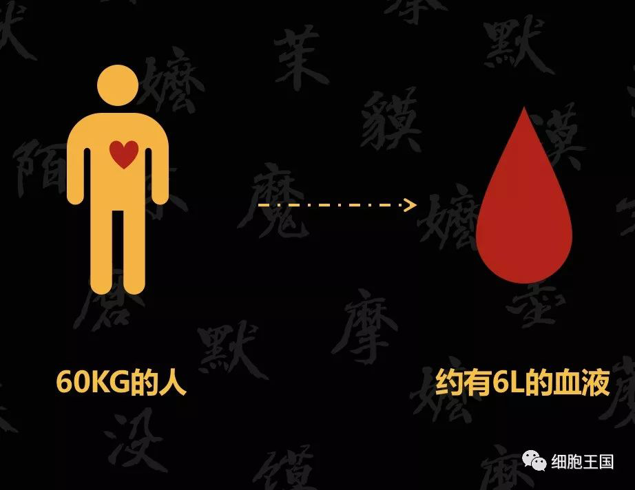 一滴血里的大秘密，你不能不知道哦！