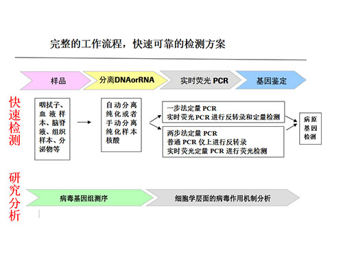 分子生物學(xué)PCR室建設(shè)參考方案