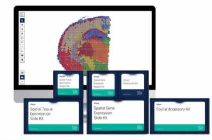 10x Genomics Visium空間基因表達(dá)解決方案